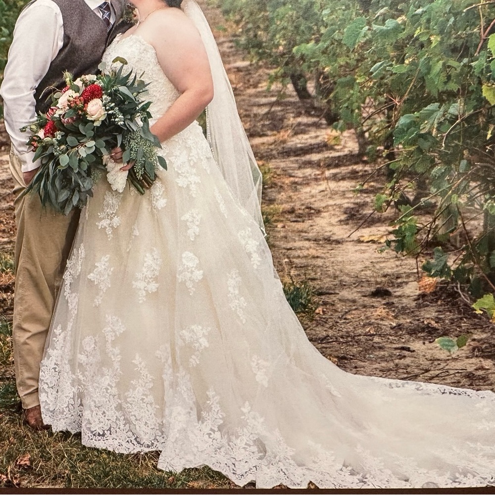 Mori Lee Cream Lace Wedding Dress